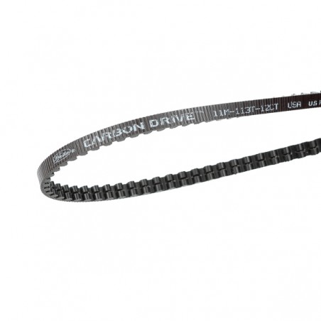 Belt Carbon Gate CDX